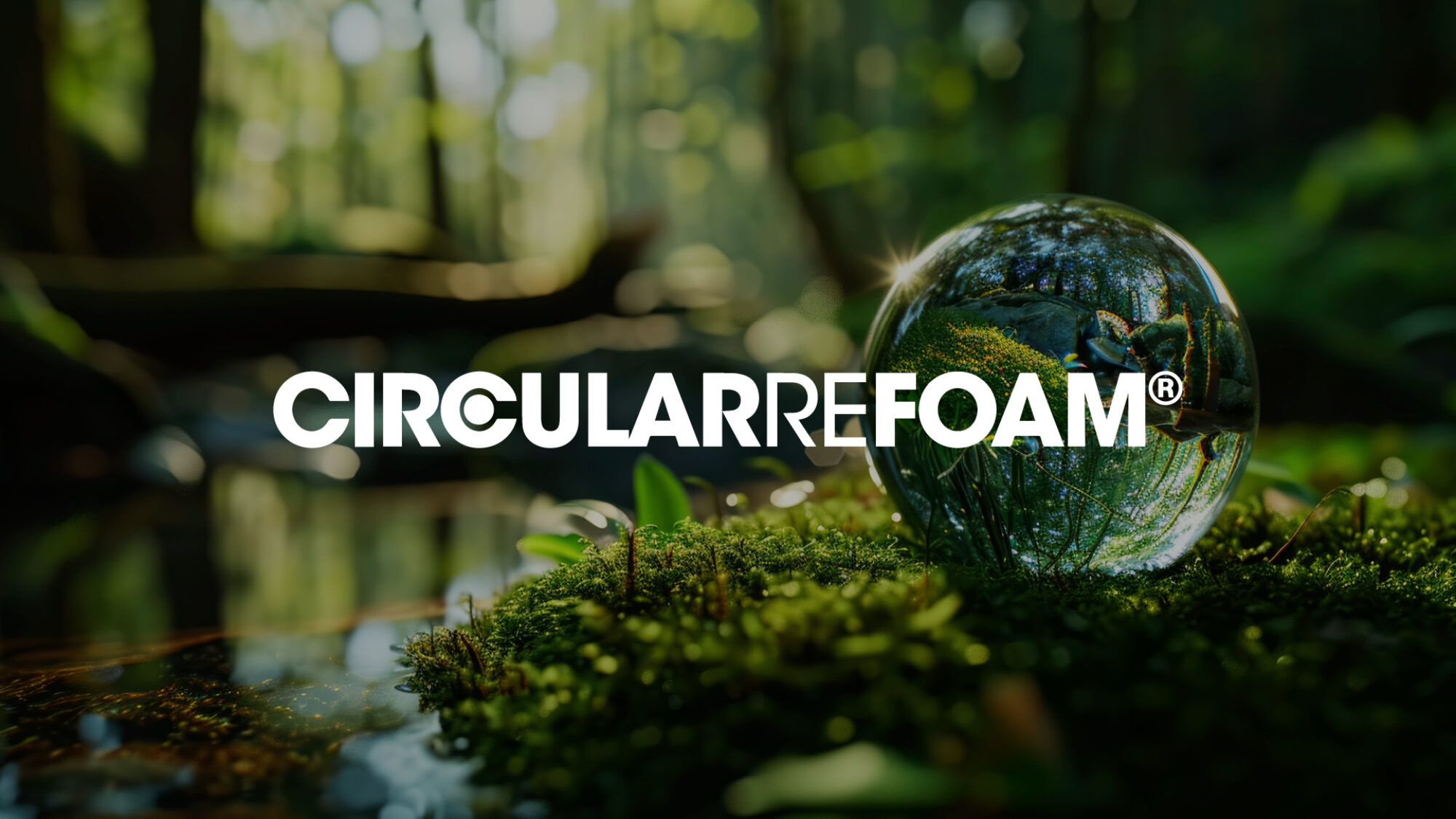 Traspiranti e sostenibili: le nostre sedute in CircularRefoam